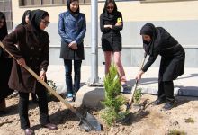 گزارش تصویری مراسم روز درخت کاری در دانشگاه  با حضور ورزشکاران ملی پوش شهرستان شاهرود  